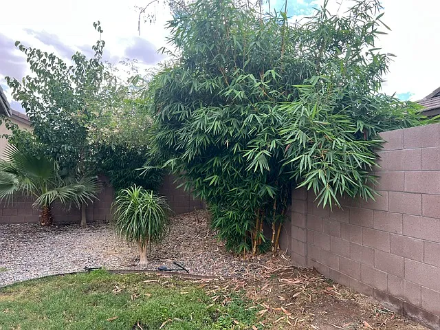 23061 E Mayberry Rd — Photo 26