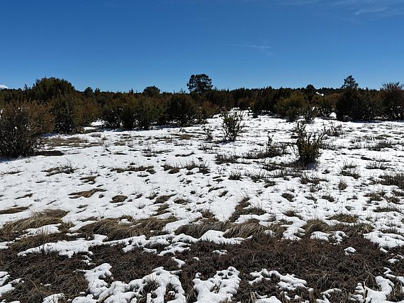 2nd image of 26 County Rd 8405 -- #010