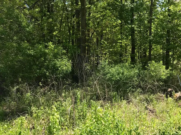 406 N State St, Gobles, MI 49055