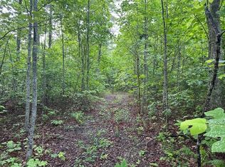 31 Wilson Ridge Rd, Wilder, TN 38589