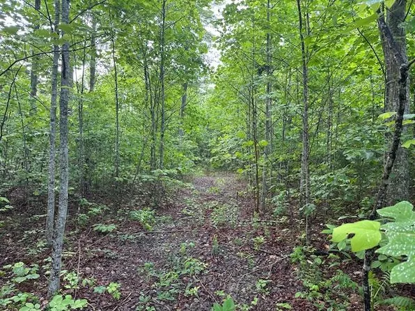 31 Wilson Ridge Rd, Wilder, TN 38589