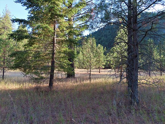 3rd image of 111 Toroda Creek Rd