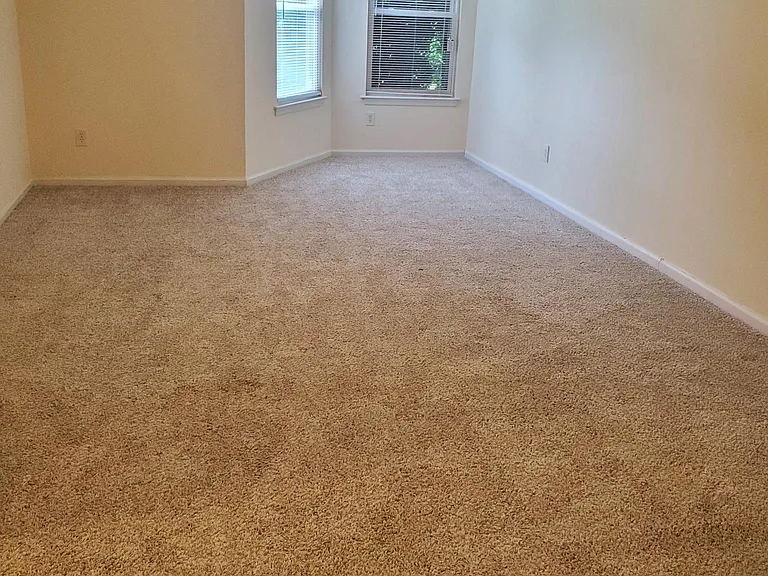 516 Thorncliff Dr #101 — Photo 18
