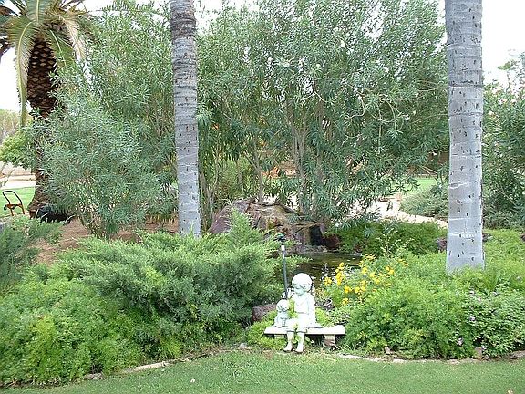 Fish pond with waterfall