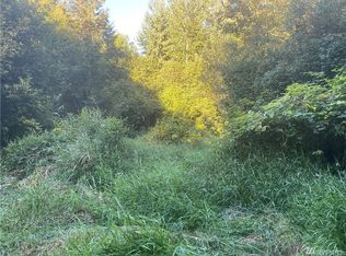 100 Smokey Valley Rd, Toledo, WA 98591