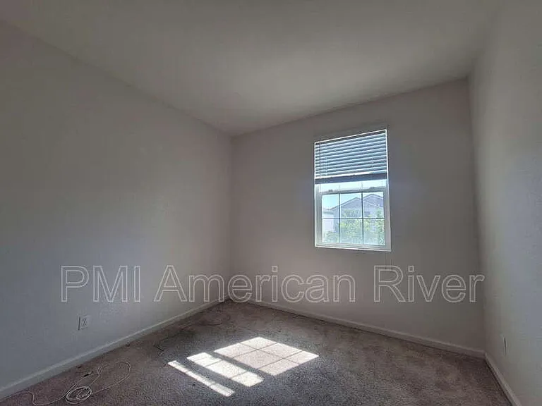 3805 Amelia Rose Way — Photo 7