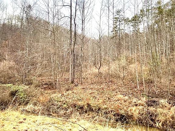 5th image of 0 Half Mountain Creek Rd #414650