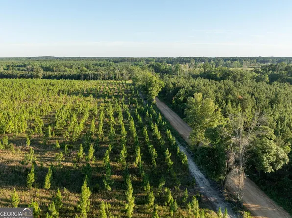 3 Beulah Rd Tract 3, Sylvania, GA 30467