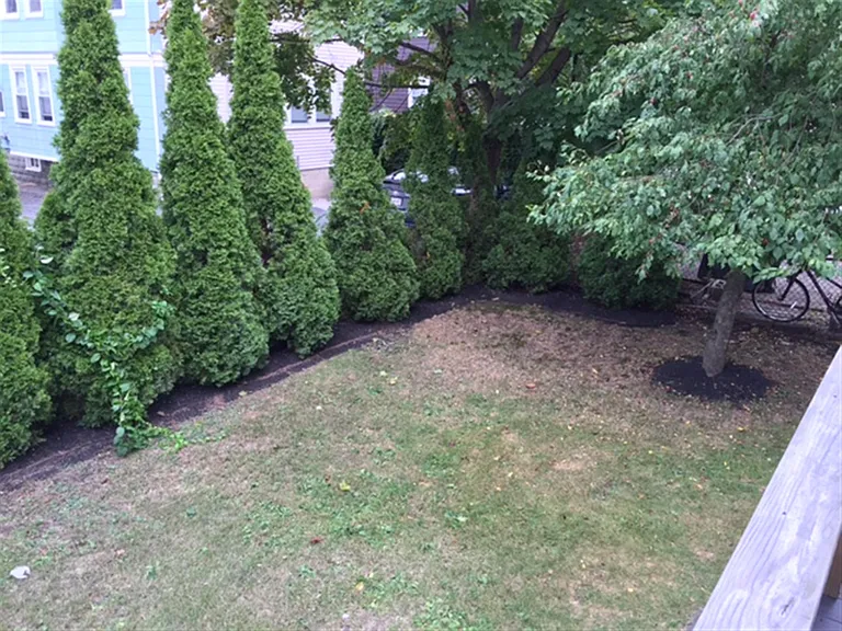 78 Bristol Rd #1 — Photo 19