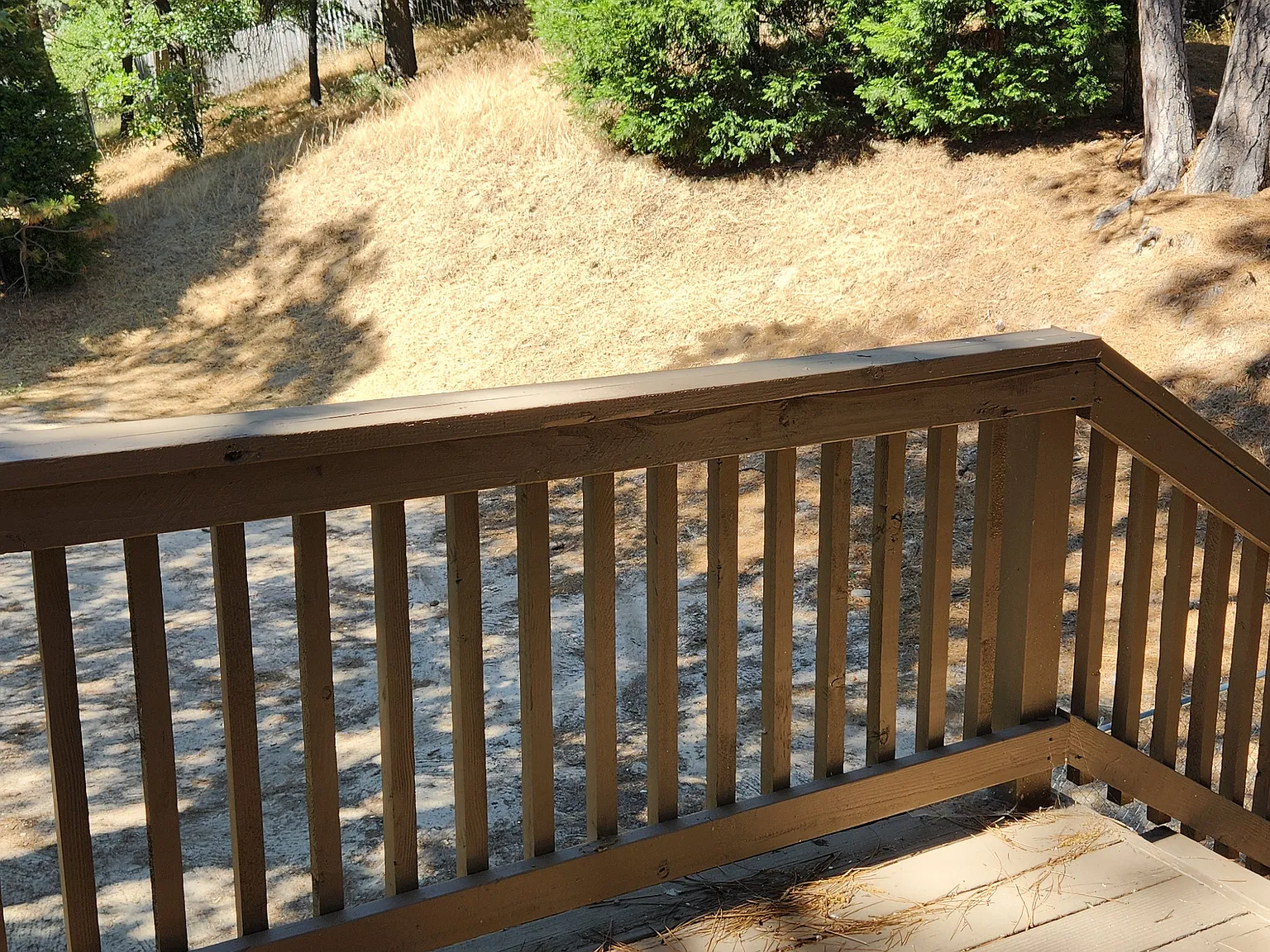 Studio, $1,100 — Photo 2