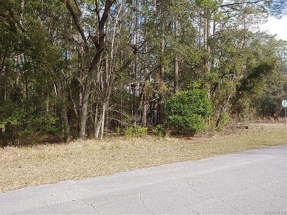 3rd image of 10036 N Lindon Dr
