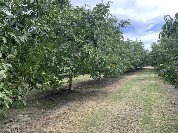 5900 Olive Rd, Corning, CA 96021
