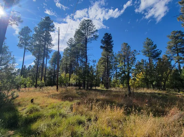 5518 Deer Run, Pinedale, AZ 85934