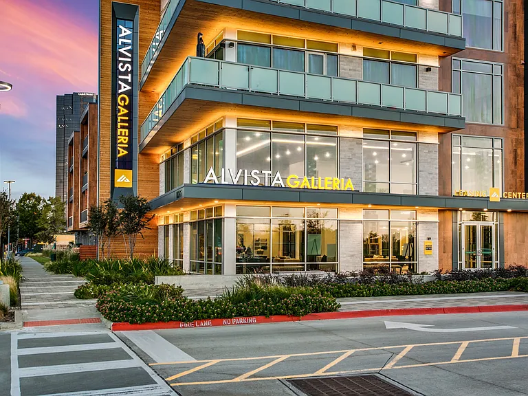 Alvista Galleria — Photo 2