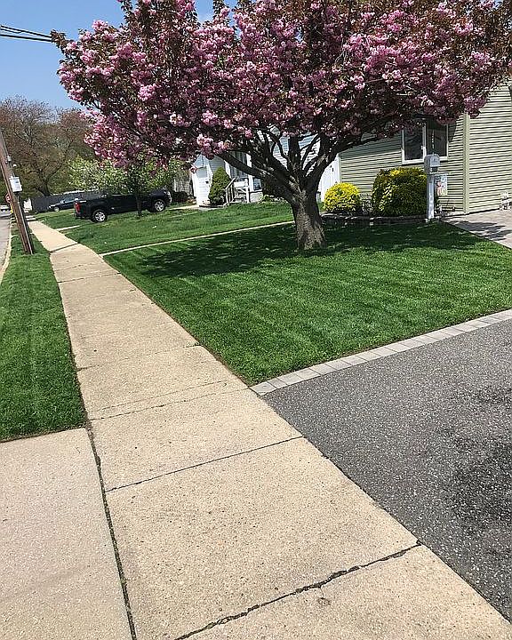 1st image of 9 Lois Ln