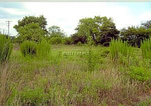 2nd image of 7029 Powellville Rd