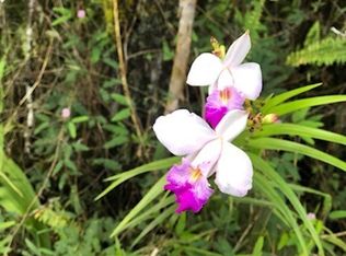 Opeapea Road Rd #7-LOT 4828, Mountain View, HI 96771