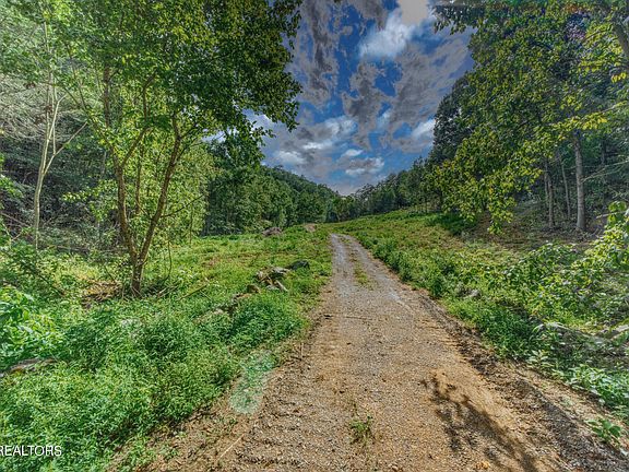 4th image of 1670 Jobey Green Hollow Rd