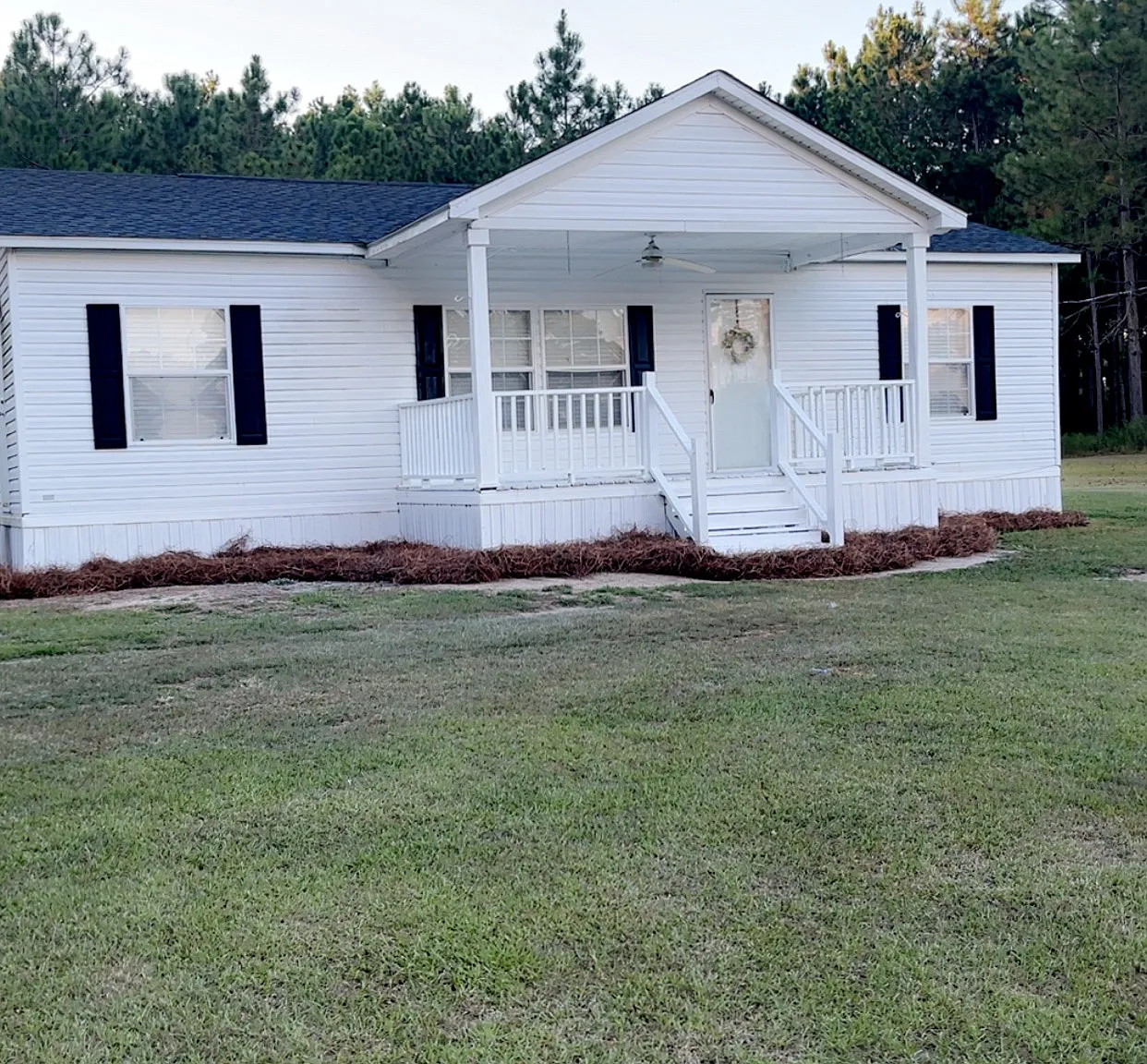 Mikell Lake Rd, Screven — Photo 4