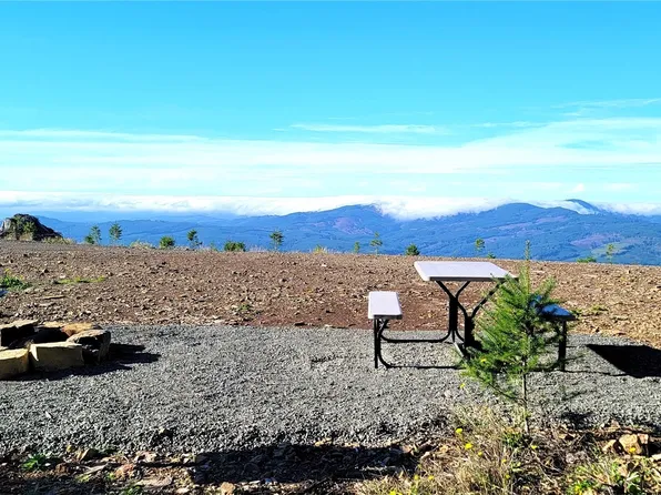 0 Aho Carson Road, Woodland, WA 98674