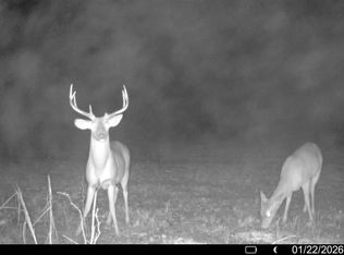 County Road 415, Forrest City, AR 72335