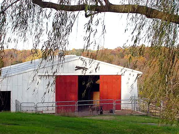 Six stall stable w/tack room
						:
						now our kennel
