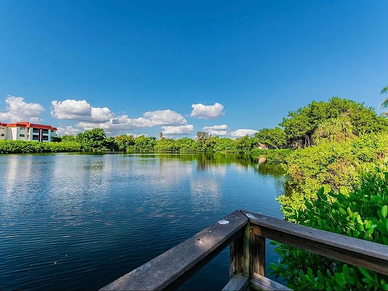 View from dock to the right.