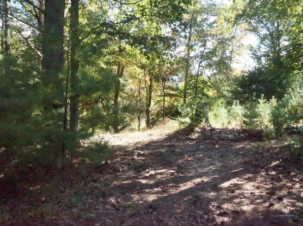 Old White Dr, Lewisburg, WV 24901