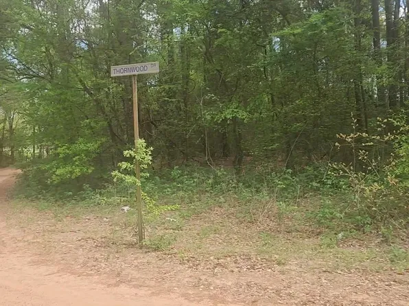 LOT 1 Thornwood Dr, Plantersville, TX 77363