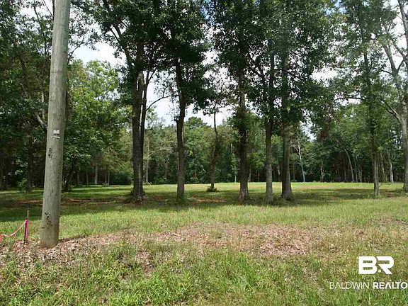 2nd image of Douglas Rd