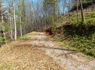 42 Blaine Fork Dr, Franklin, NC 28734