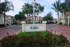 Avalon