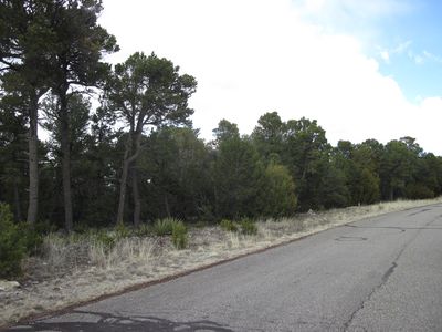 207 Via Sedillo Rd, Tijeras, NM, 87059