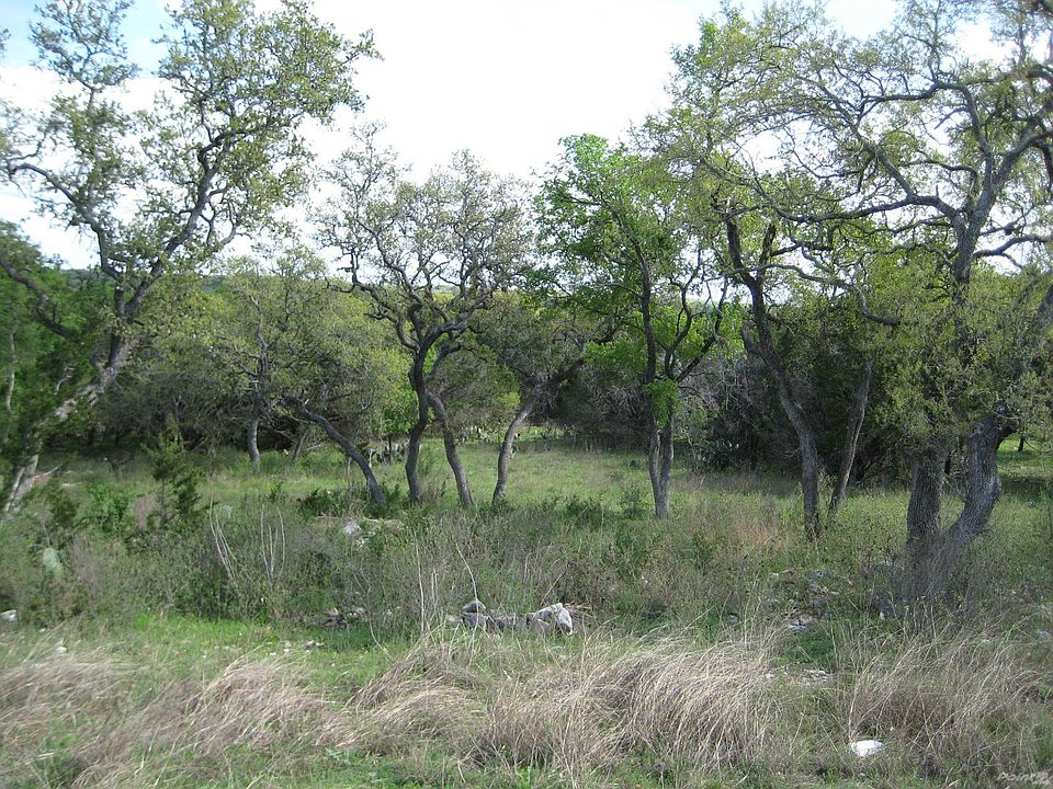 Great Looking Property