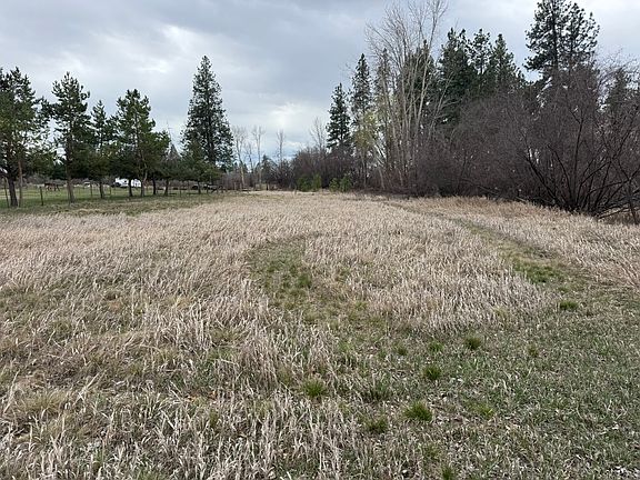 5th image of Nhn Two Moons Rd