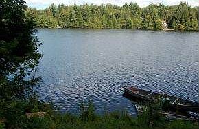 Your backyard!