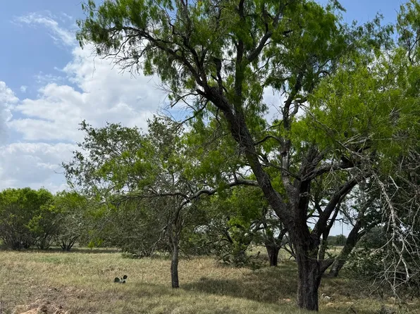 00 County Road 405 LOT 4, Floresville, TX 78114