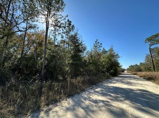 NE 15th St LOT 1, Williston, FL 32696