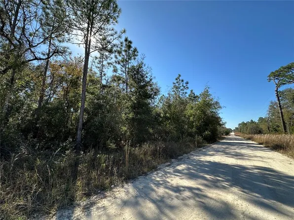 NE 15th St Lot 1, Williston, FL 32696
