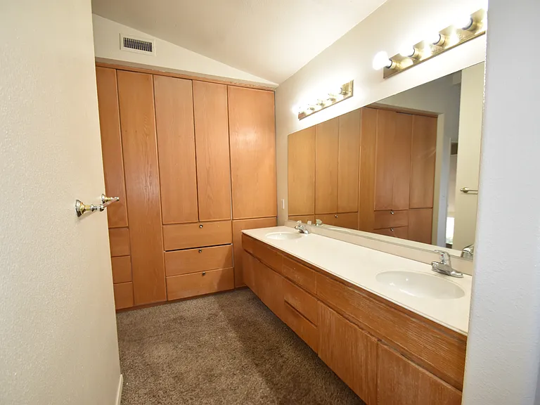 2951 Shady Pine St — Photo 16
