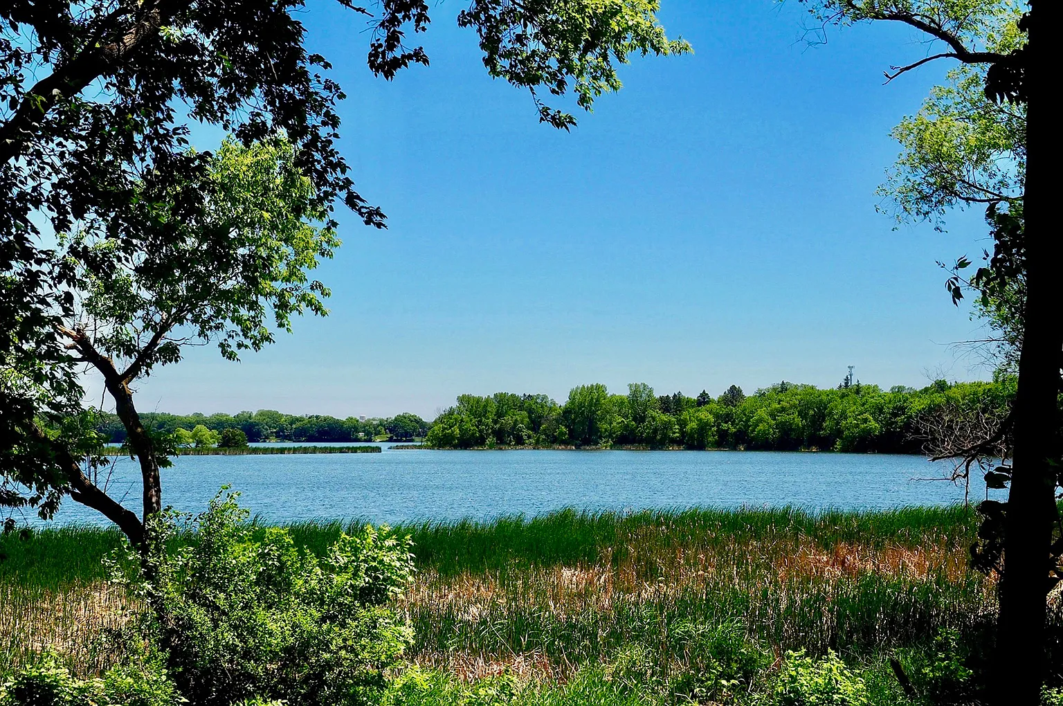 Somerset By The Lake — Photo 3