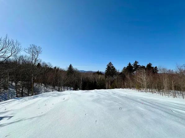 Lot 49 Andover Ridge Road #49, Andover, VT 05143