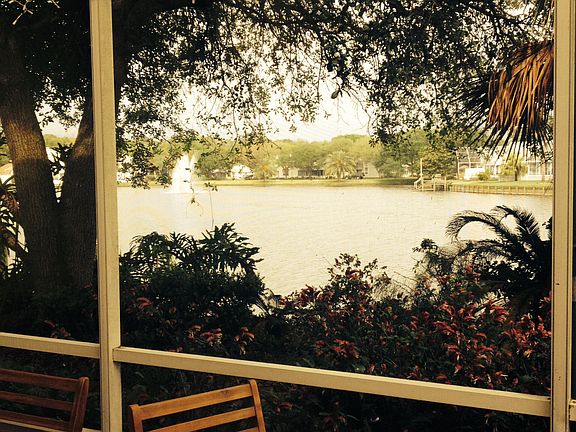 Back porch view