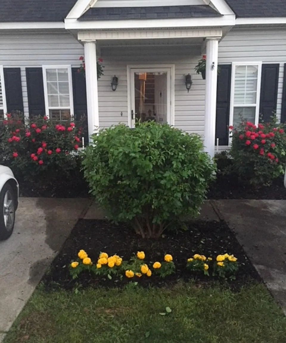 3 bed, 1850 sqft, $2,300 — Photo 1