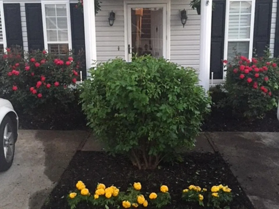 2016 Glennfield Ln