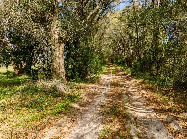 SW 298th St, Newberry, FL 32669