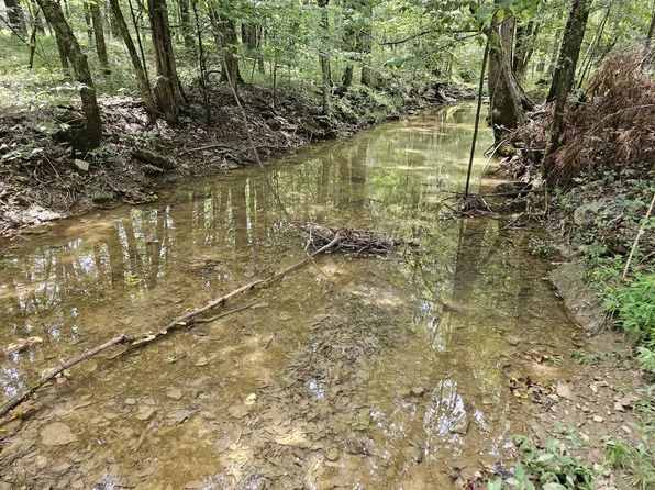 0 Whitfield Hollow Rd Lot 1, Readyville, TN 37149