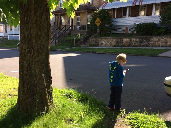 Shaded front of house