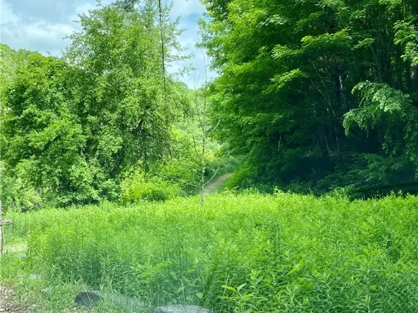 TBD Little Cow Camp Road, Newland, NC 28657