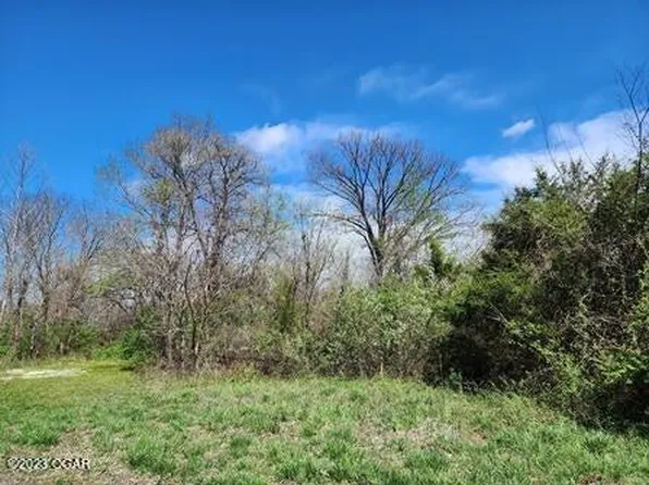 Tract 4 Highway D, Webb City, MO 64870